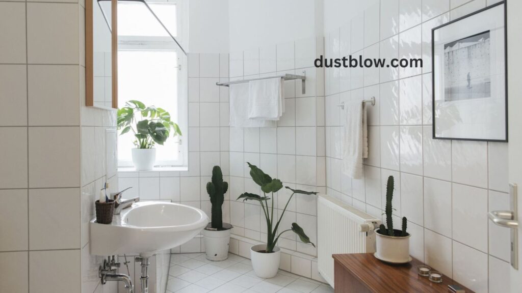 How do I Organize my Bathroom Essentials?