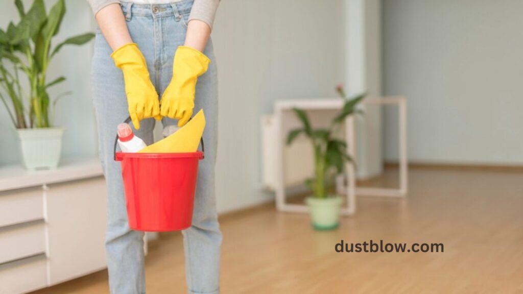 What is the most effective cleaning product for mold removal?
