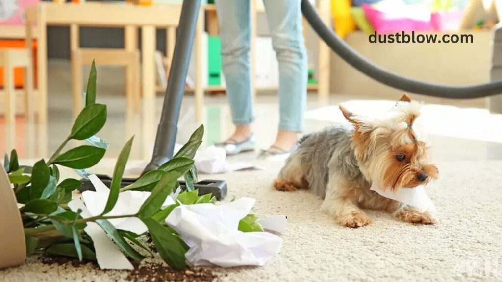 Which cleaning products are safe for children and pets?