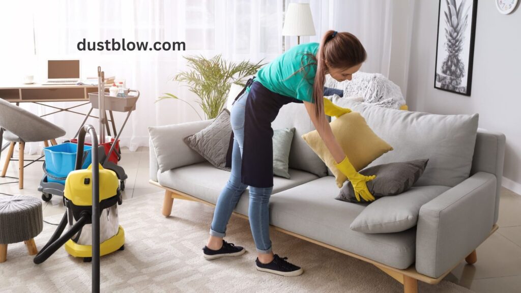 How can I Disinfect My Home Using Natural Products?