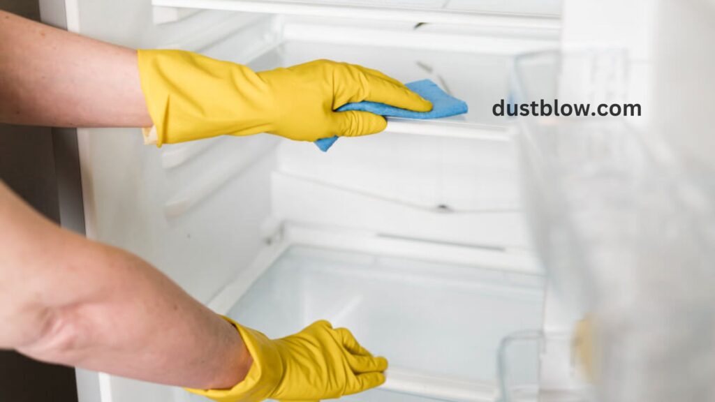 How do I Clean and Sanitize My Fridge and Freezer?