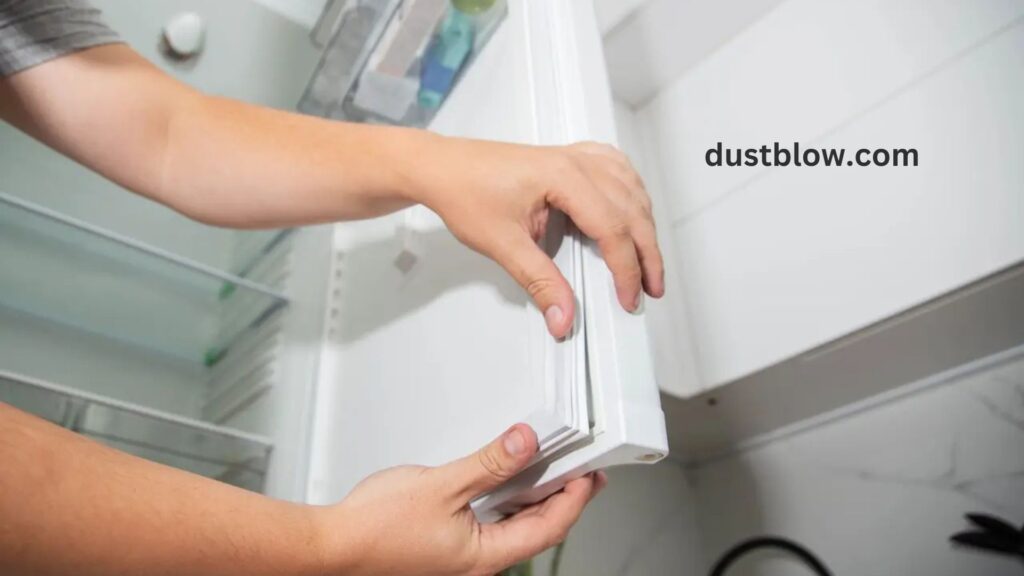How do I Clean and Sanitize My Fridge and Freezer?