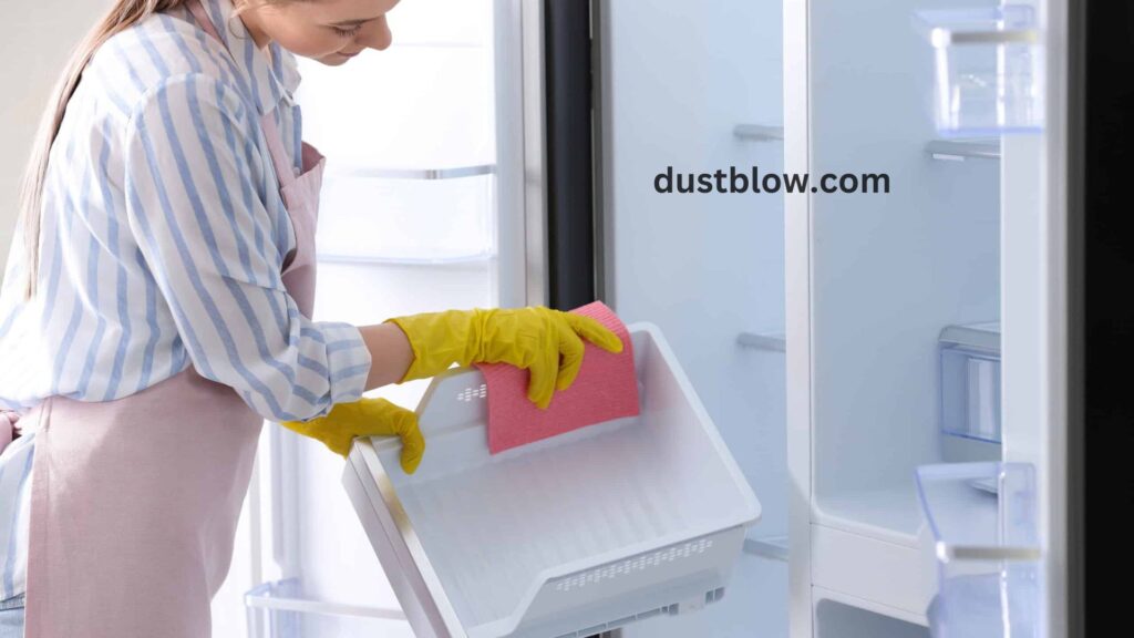 How do I Clean and Sanitize My Fridge and Freezer?