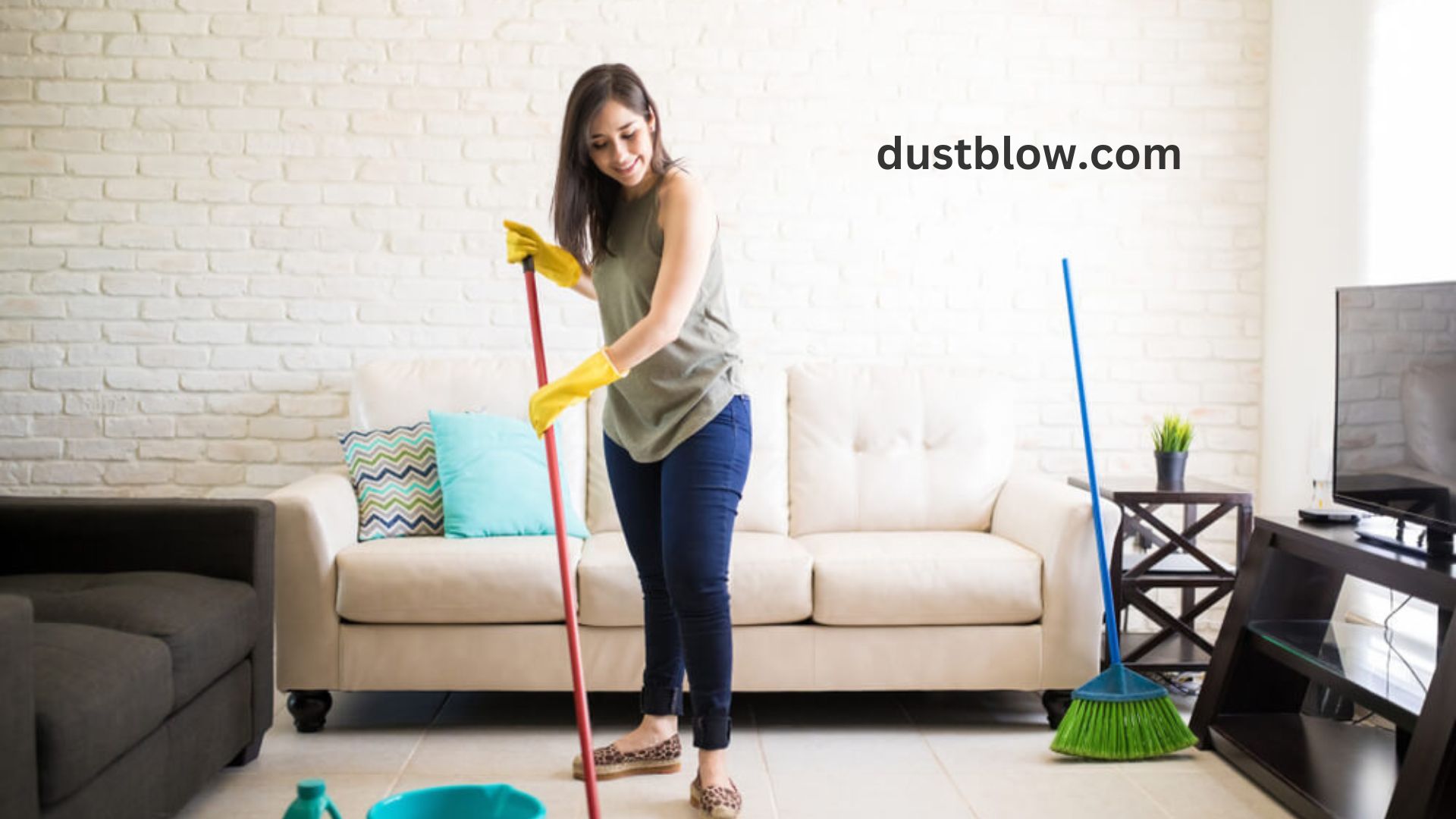 What are Some Quick Cleaning Tips for Busy People? - DustBlow