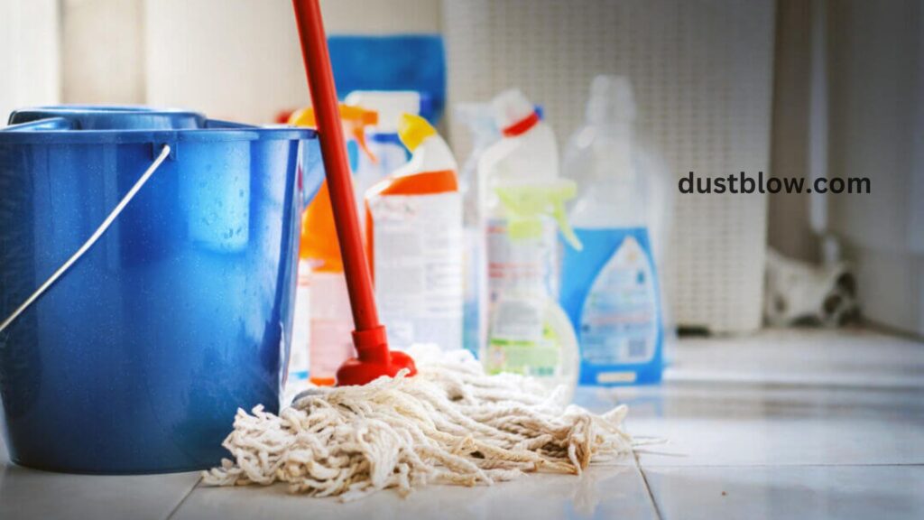 What is the Best Way to Organize Under-the-Sink Storage?